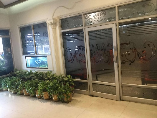 hotel shane avadh